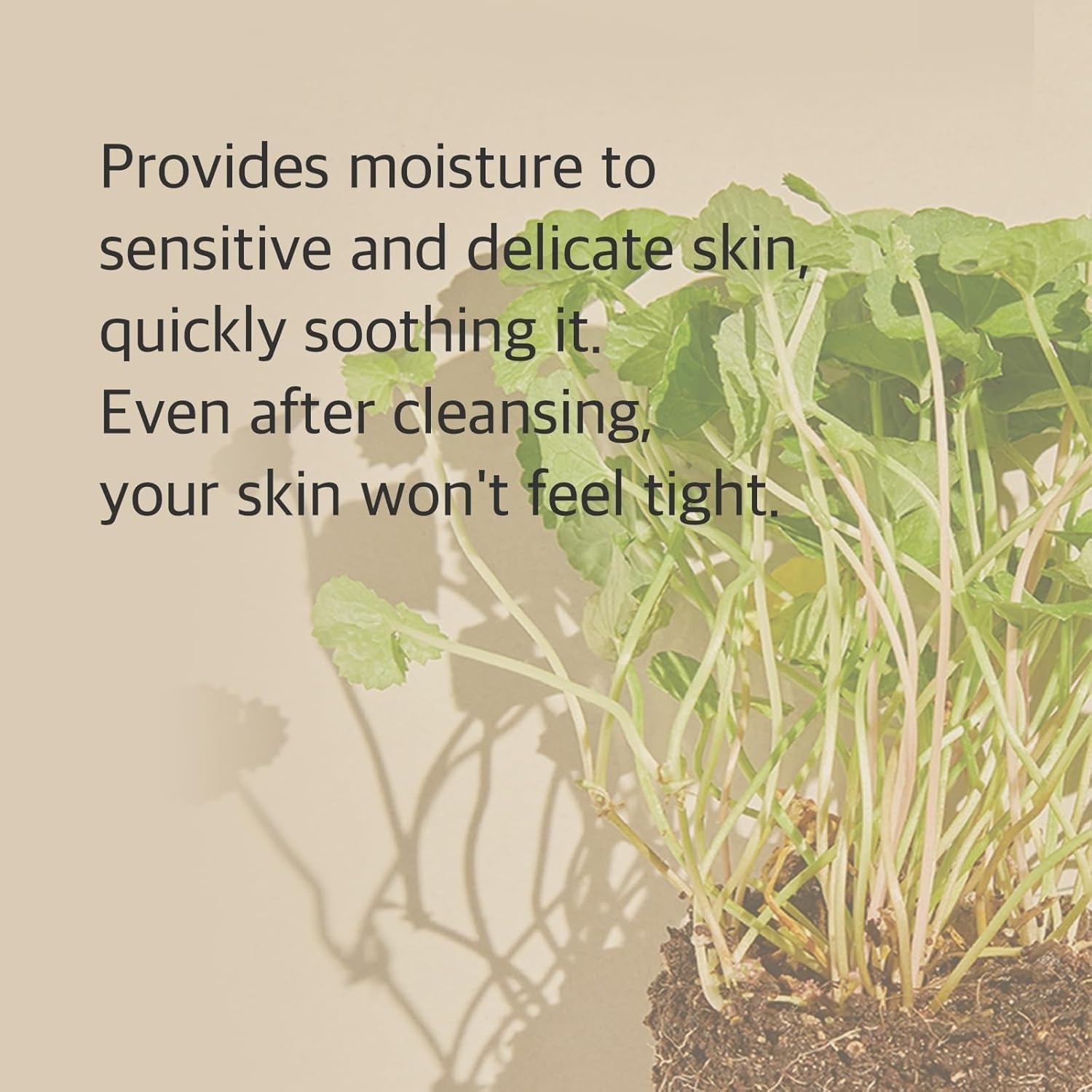 image:imagemixsoon Centella Cleansing Foam Face Wash with Cica Low pH Cleansing and Soothing for Face Hydrating Formula 150ml 507 fl oz Korean Glass Skin Care507 Fl Oz Pack of 1