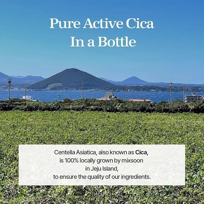 image:imagemixsoon Soondy Centella Asiatica EssenceSoothing Calming and Hydrating for Face Jeju Island Cica Extracts Gentle Formula for Balanced Healthy Skin 100ml 338 floz Korean Glass Skin Care101 Fl Oz Pack of 1